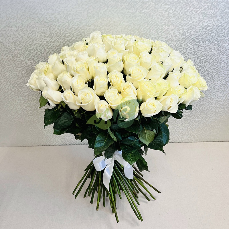 101 белая роза Эквадор