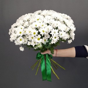 Букет маленьких кустовых хризантем Вероника